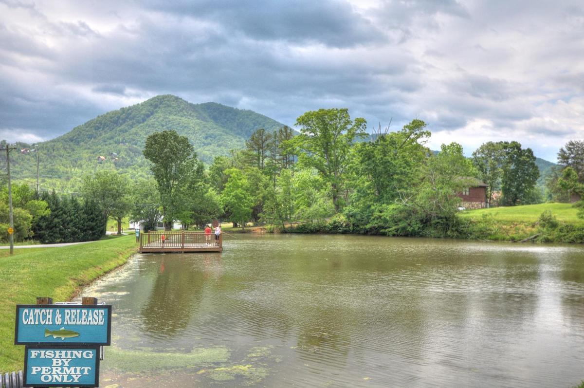 Holiday home Bears Valley Inn - Great Location! - Peaceful, Children And Dog Friendly Retreat - Less Than 15 Min To All Attractions - Private Pool Club & Fishing Hole - Game Room With Tv
